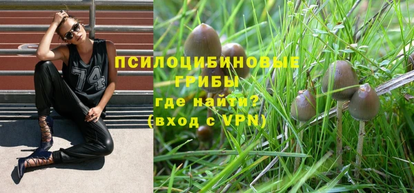 амф Алексин