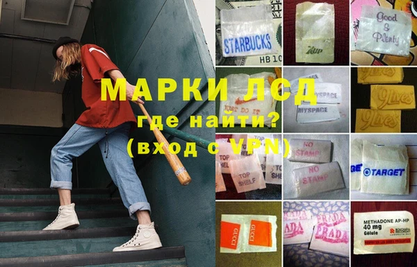 амф Алексин