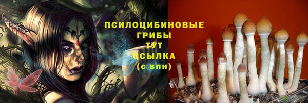 крисы Алексеевка