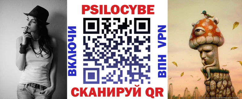 Псилоцибиновые грибы Cubensis Серов